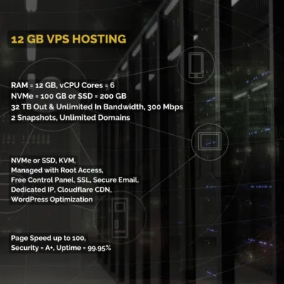 12 GB RAM VPS