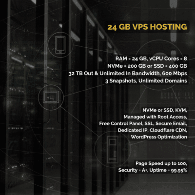 24 GB RAM VPS