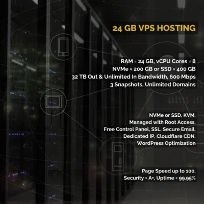 24 GB RAM VPS