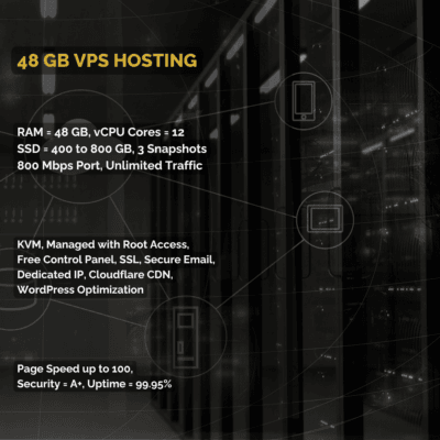 48 GB RAM VPS
