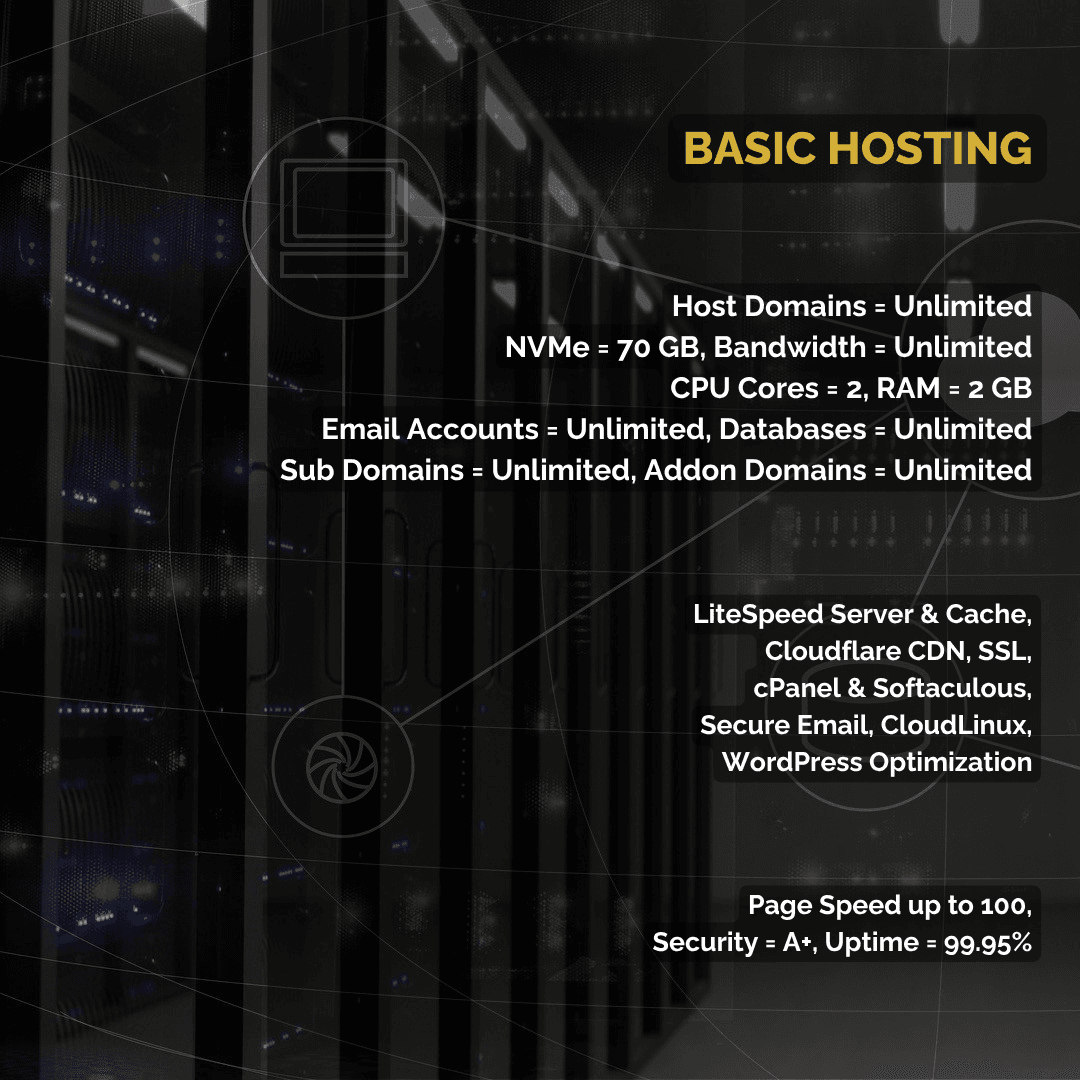 Basic Web Hosting- LiteSpeed Host 1 Basic Hosting