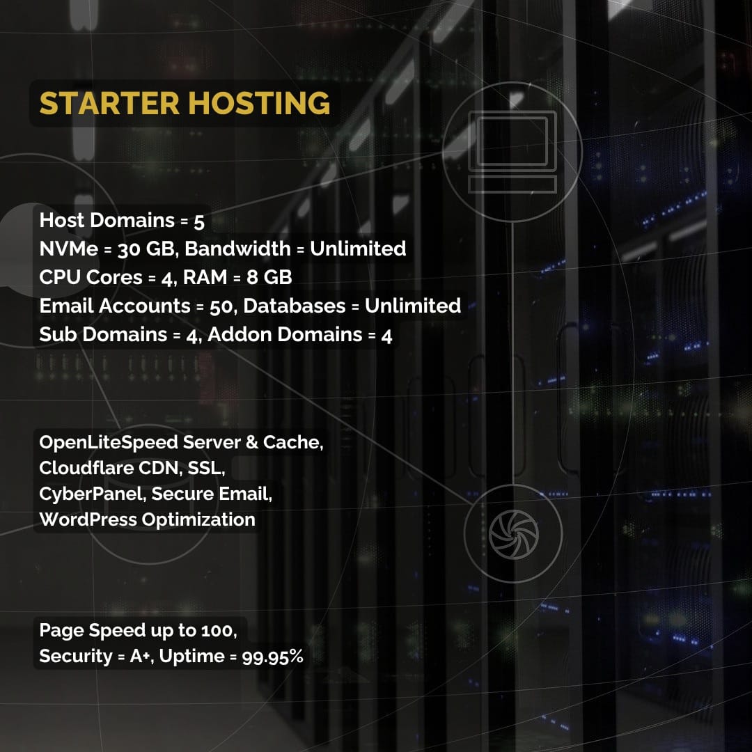 Starter Web Hosting- LiteSpeed Host 1 Starter Hosting